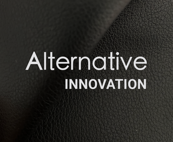 Alternative Innovation